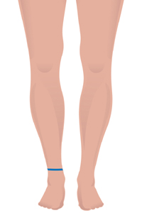 f-ankle.jpg f-ankle.jpg