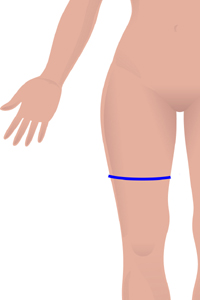 f-thigh.jpg f-thigh.jpg
