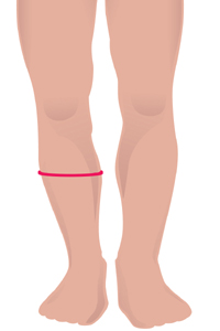 m-calf.jpg m-calf.jpg