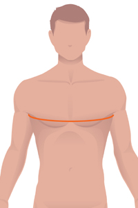 m-chest.jpg m-chest.jpg