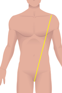 m-front-torso.jpg m-front-torso.jpg