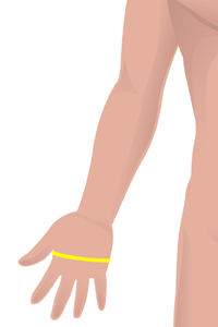 m-hand-circumference.jpg m-hand-circumference.jpg