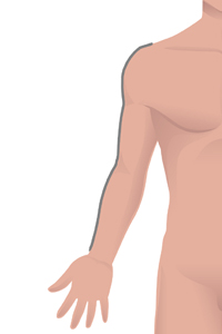 m-sleeve-length.jpg m-sleeve-length.jpg
